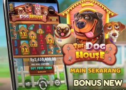 safari138 : Link Situs Slot Gacor Online dengan Server Luar Negeri 🦋