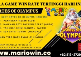 mild4d : Situs Slot Online Terpercaya dengan Pengalaman Terbaik 🦋