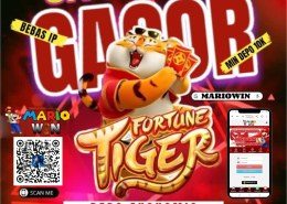 FIT69 : Daftar Slot Mania PG SOFT Server Thailand NO.1 🦋